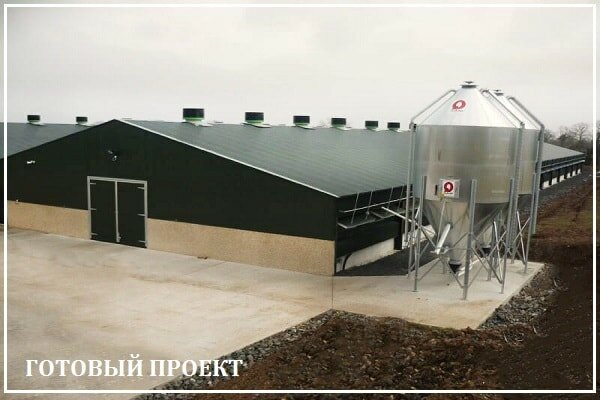 Этапы возведения птицефабрики от завода ВелесТент-блк